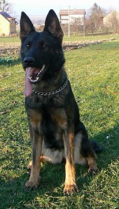 eila2