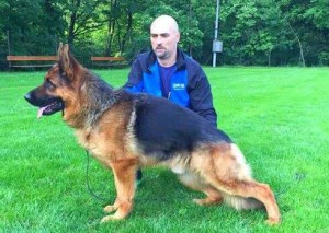 Hoss Schreidon